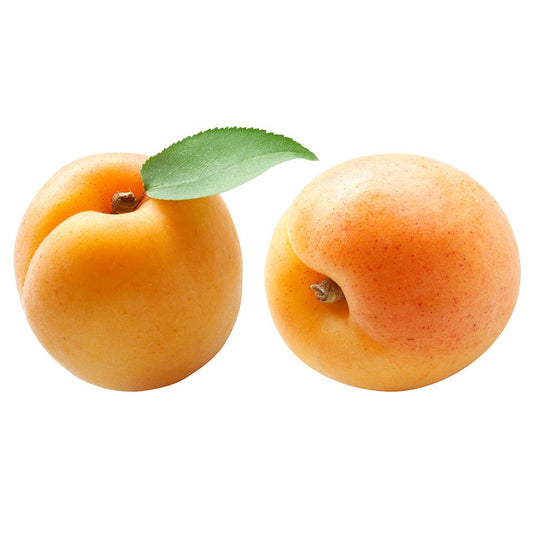 Apricot