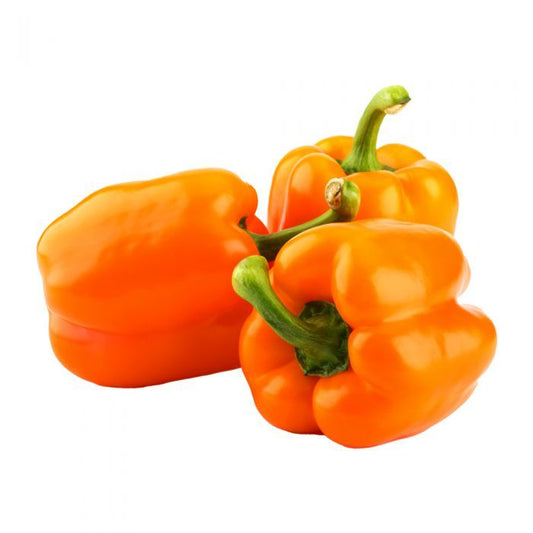 Capsicum Orange