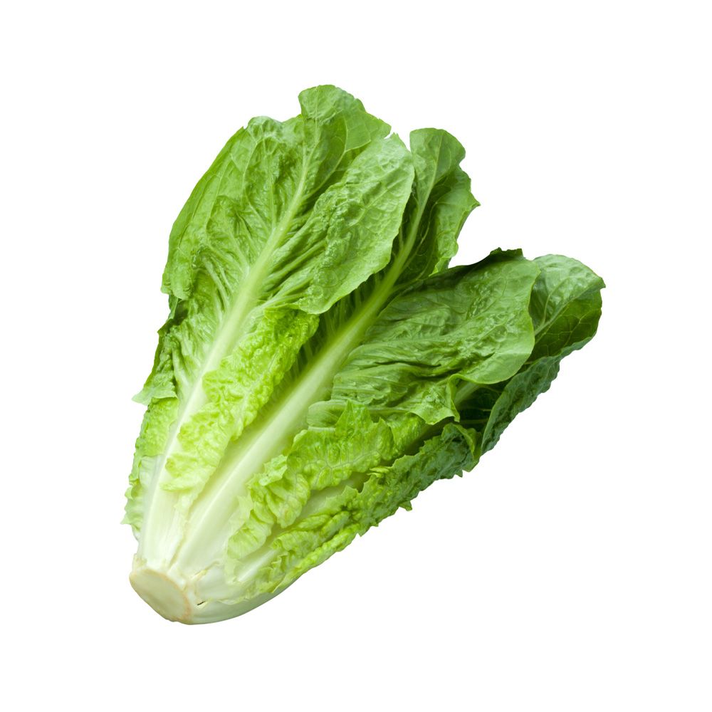 Lettuce