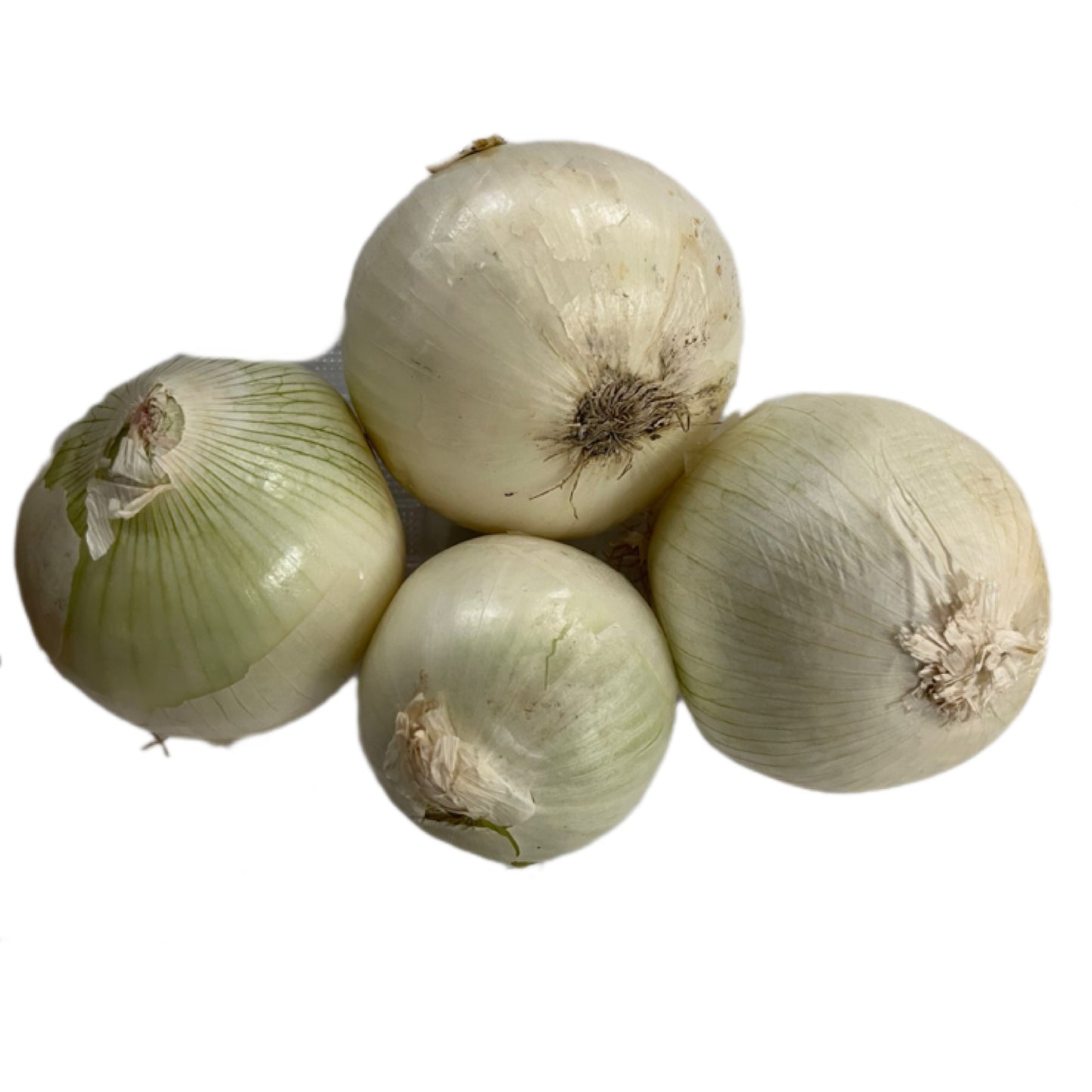 Onion white