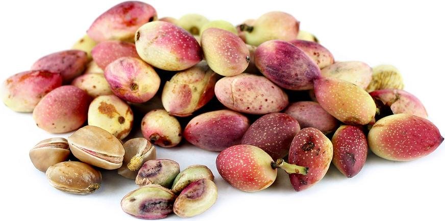 Green Pistachio fresh