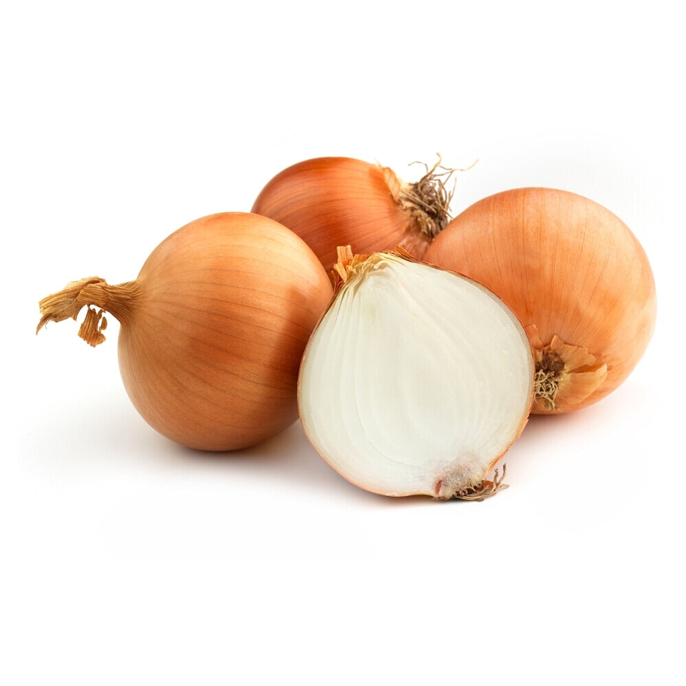 Onion Yellow