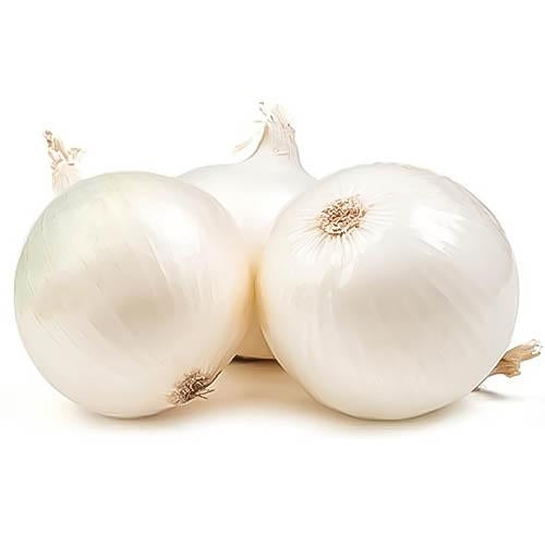 Onion white