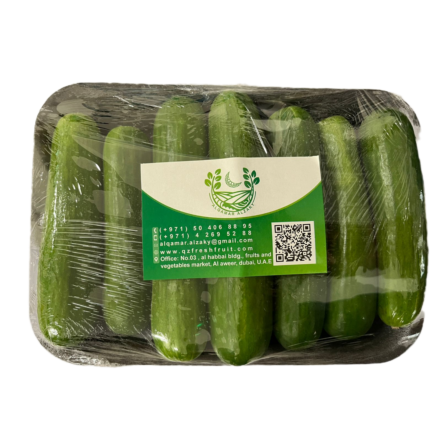 Cucumber