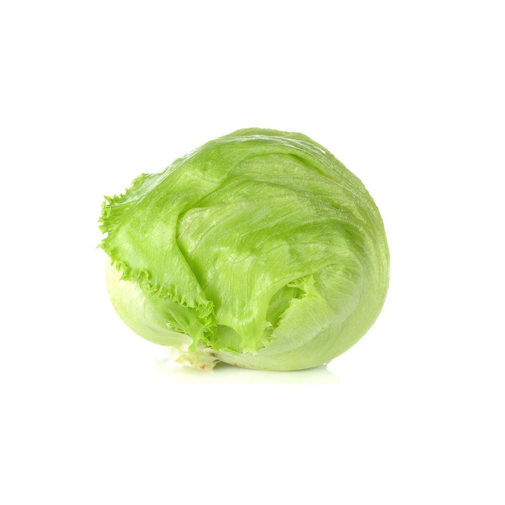 Iceberg