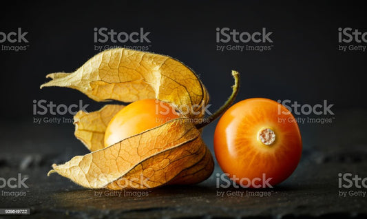 Physalis