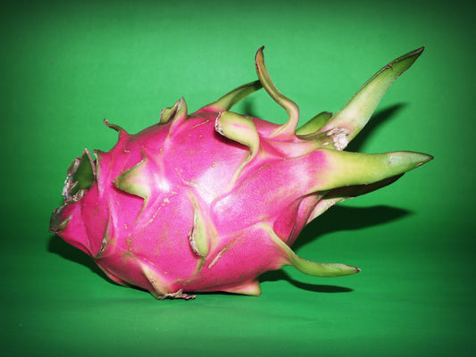 Dragon fruit