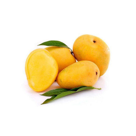 Mango g