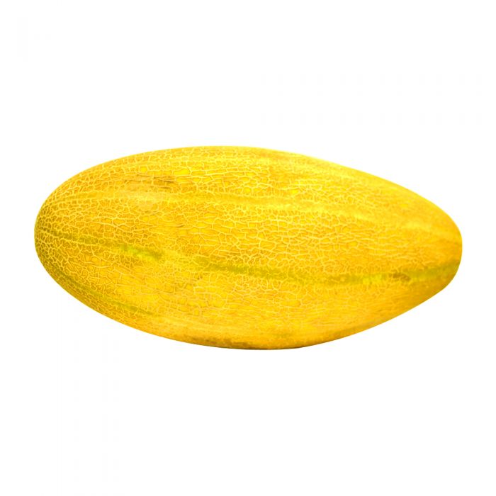 Mashadi melon