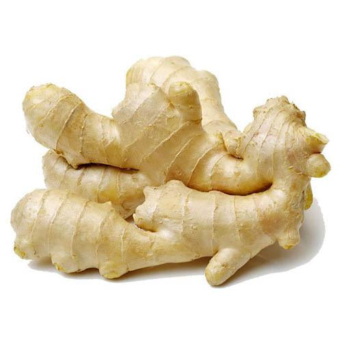 Ginger