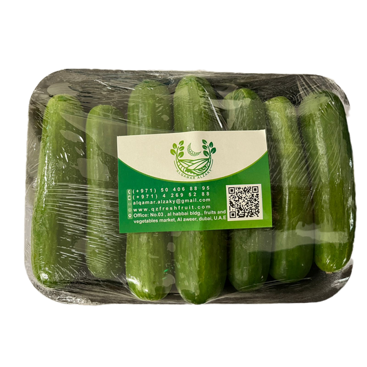 Cucumber