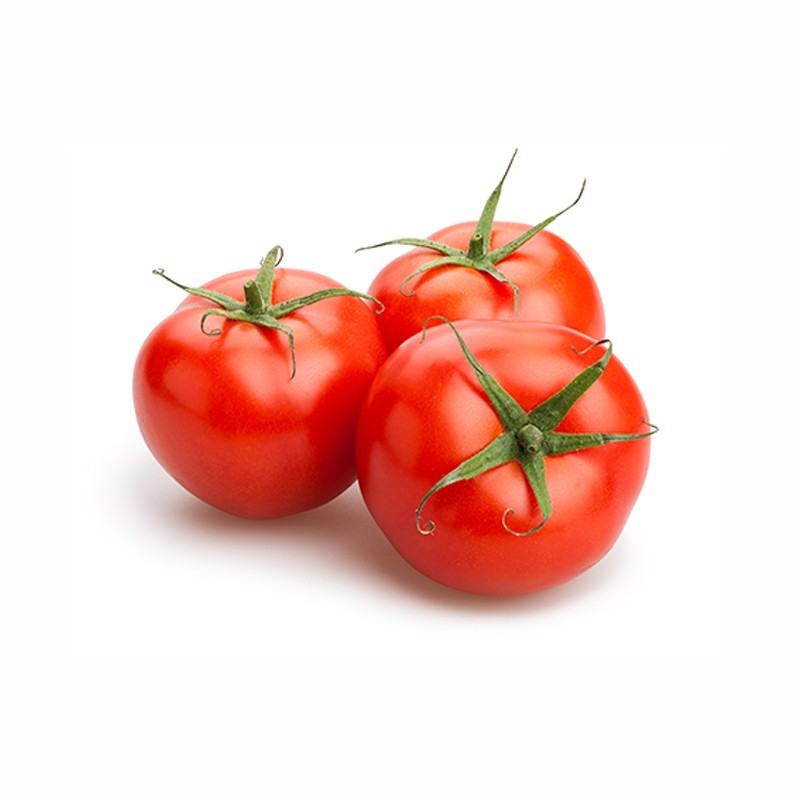 Tomato IRAN